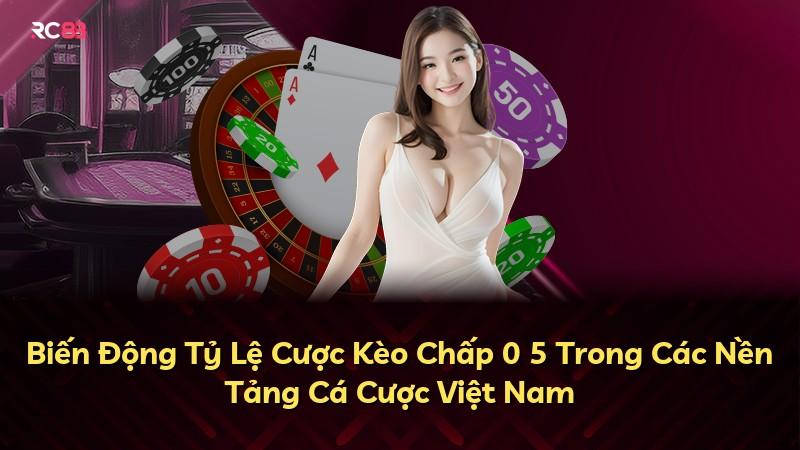 Biến Động Tỷ Lệ Cược Kèo Chấp 0 5 Trong Các Nền Tảng Cá Cược Việt Nam