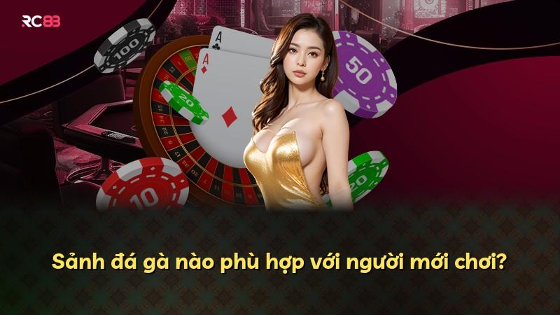 Sảnh đá gà nào phù hợp với người mới chơi?