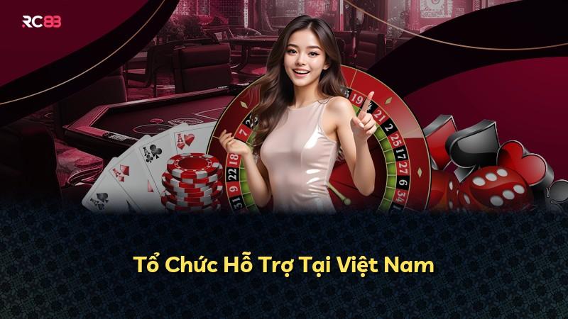 Tổ Chức Hỗ Trợ Tại Việt Nam